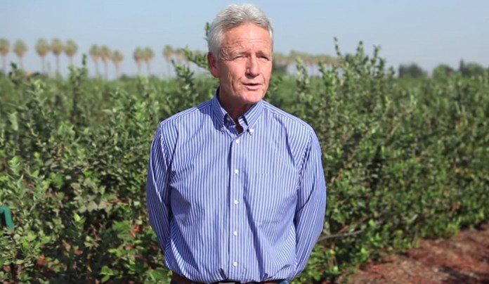 Pros and Cons of Conventional Farming Pros and Cons of Conventional Farming